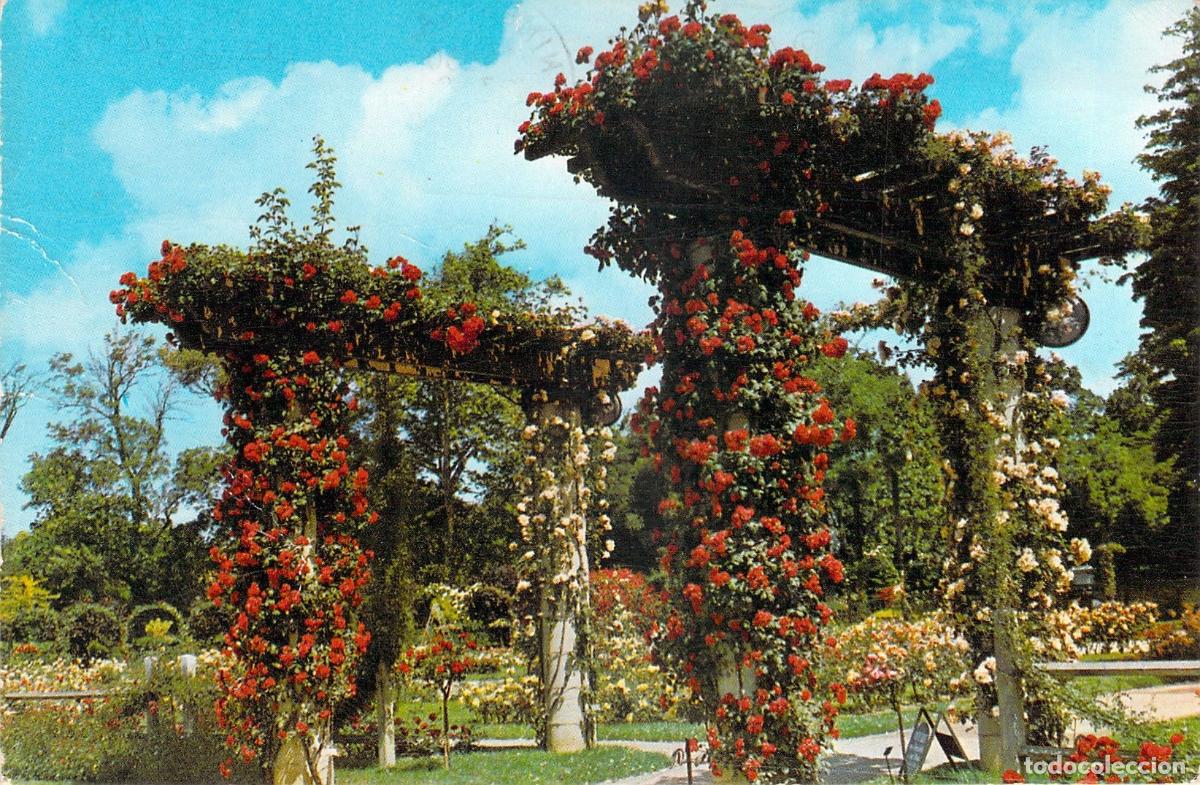 Postkarten: Postal de los Jardines de Rosas en Parc Borely, Marseille, Francia