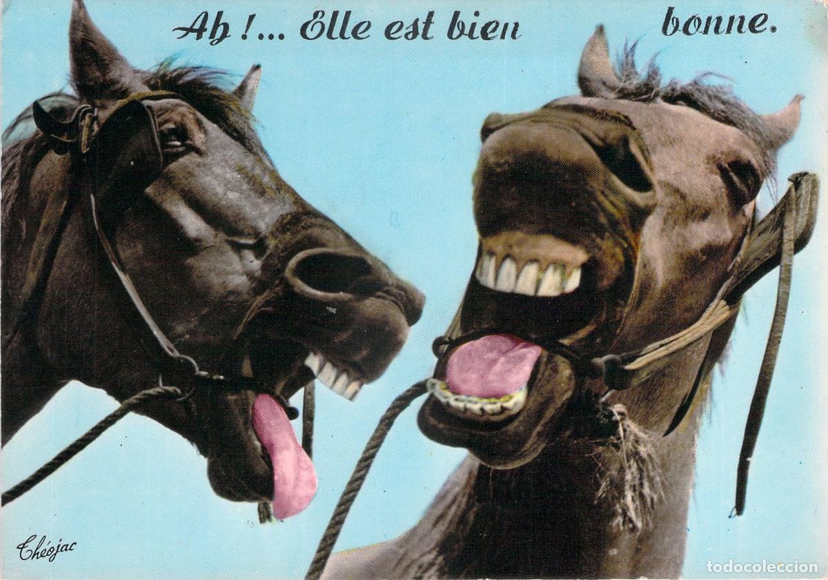Postales: Postal con imagen humor&iacute;stica de caballos riendo