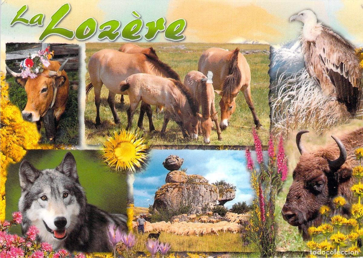Postales: Postal de naturaleza y animales salvajes de Loz&egrave;re, Francia