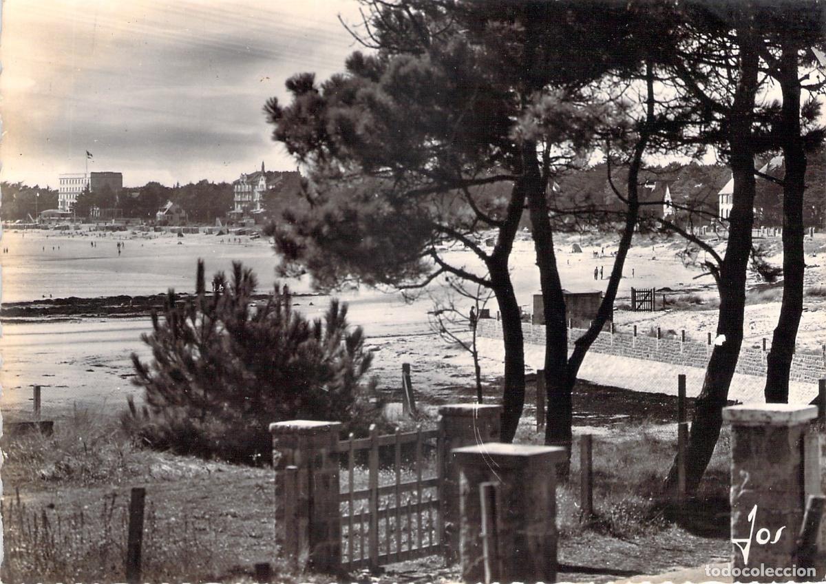 Postales: Postal de Carnac-Plage, Playa vista a trav&eacute;s de los pinos en Francia