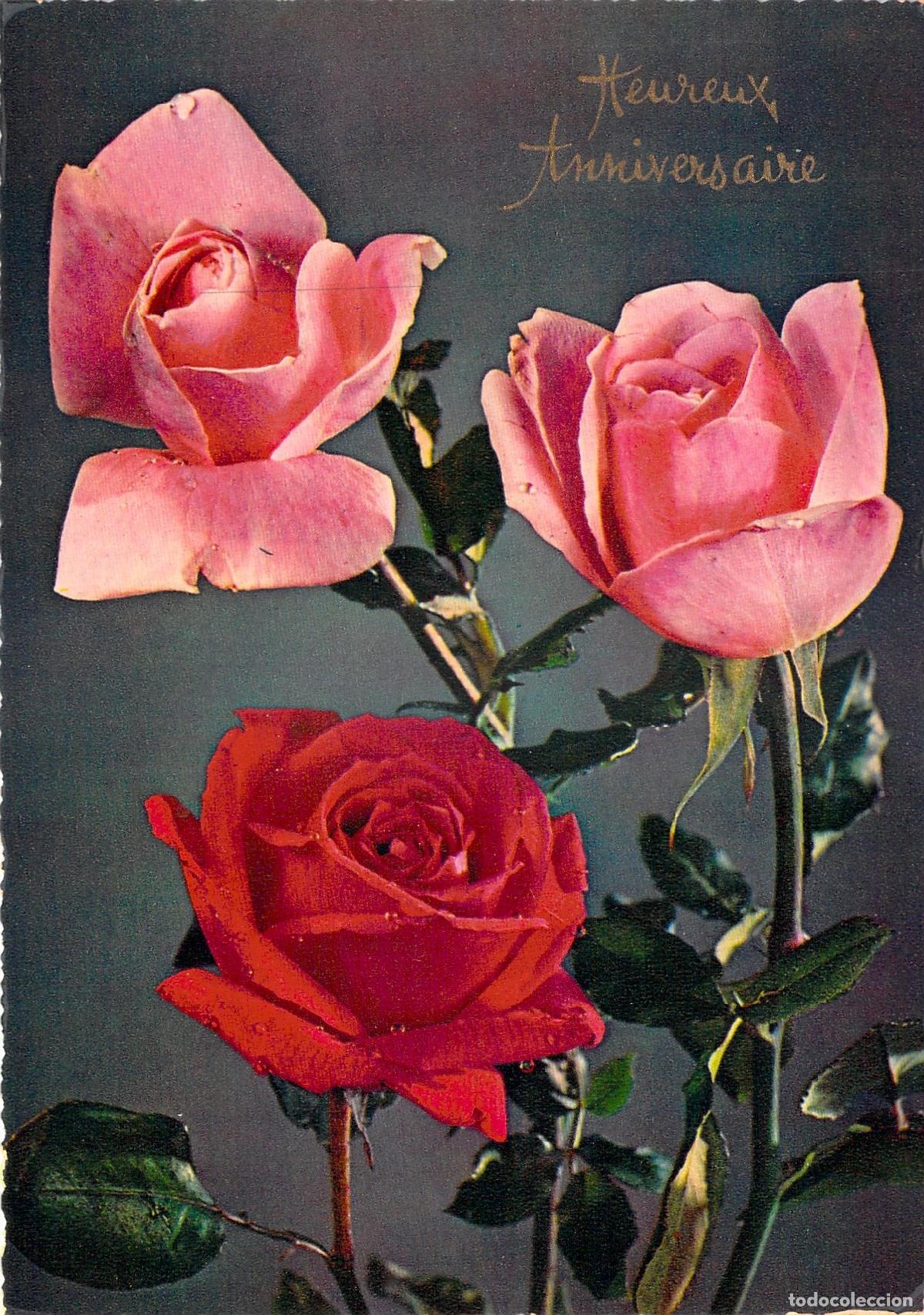 Postales: Postal con flores y felicitaci&oacute;n de cumplea&ntilde;os