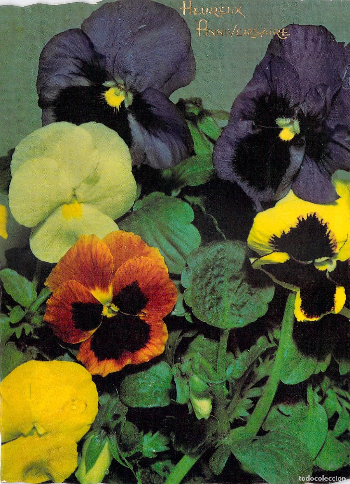 Postales: Postal de felicitaci&oacute;n con flores de pensamiento