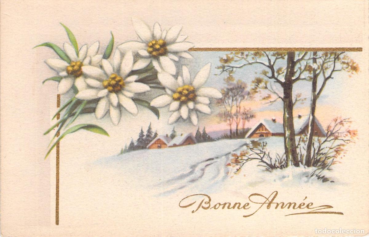 Postales: Postal de Feliz A&ntilde;o Nuevo con Flores Edelweiss y Paisaje Invernal