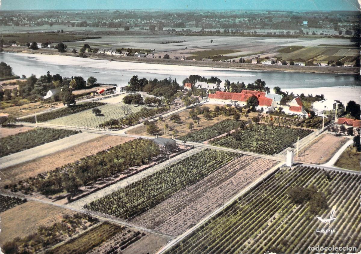 Postales: Postal a&eacute;rea de Montlouis sobre el r&iacute;o Loira Francia