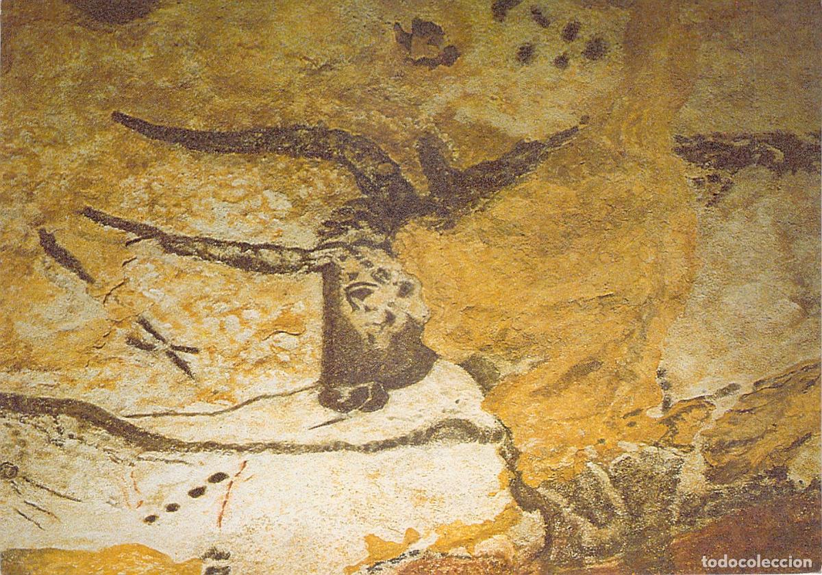 Postales: Postal de la cueva de Lascaux, cabeza del gran toro, Dordogne, Francia