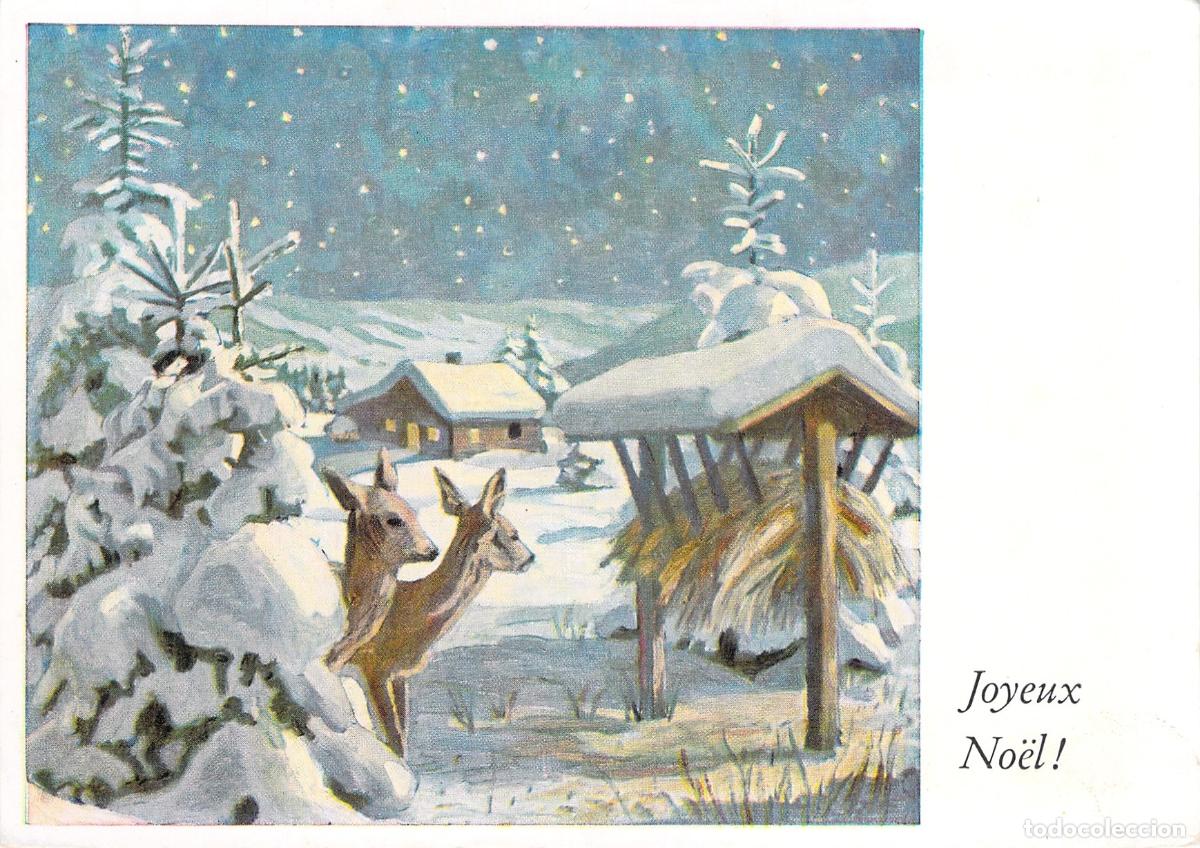 Postais: Postal de Navidad con Ciervos en Bosque Nevado