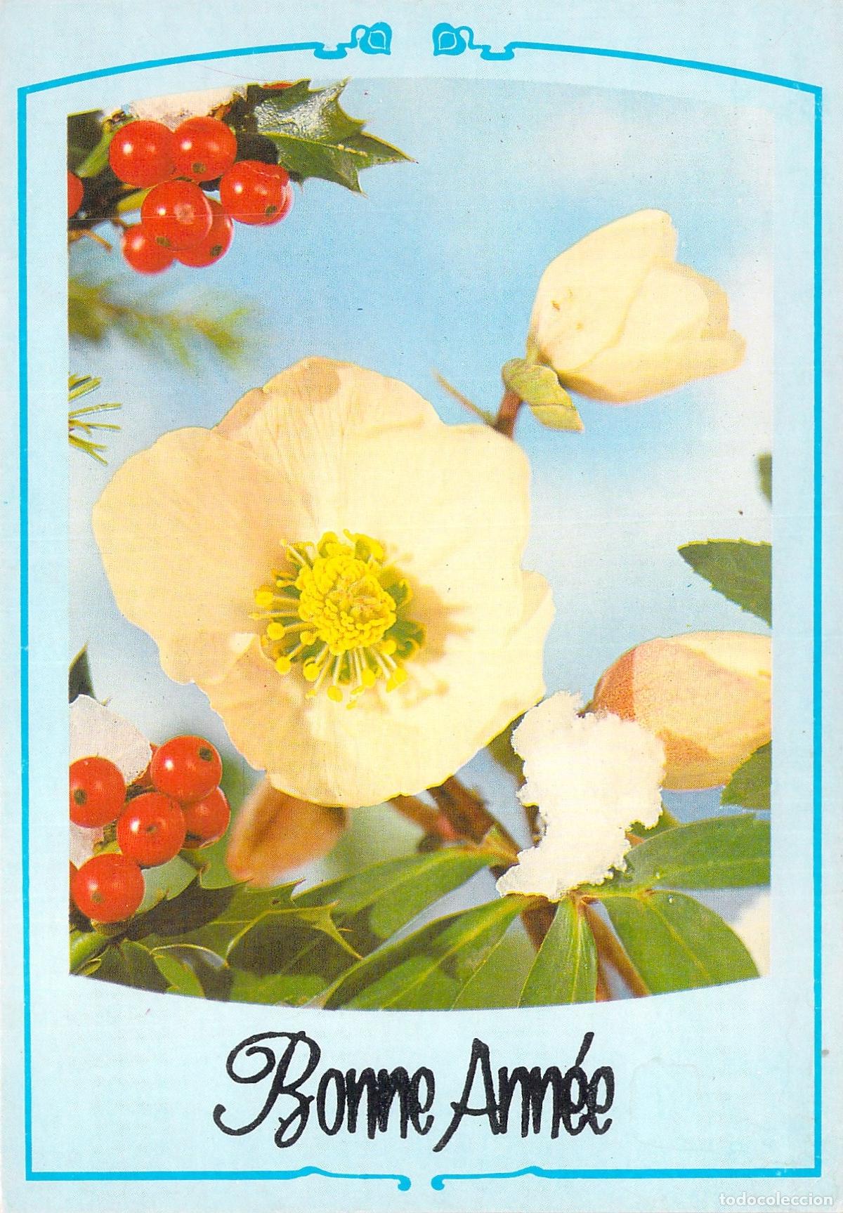 Postais: Postal de Feliz A&ntilde;o Nuevo con ilustraci&oacute;n floral