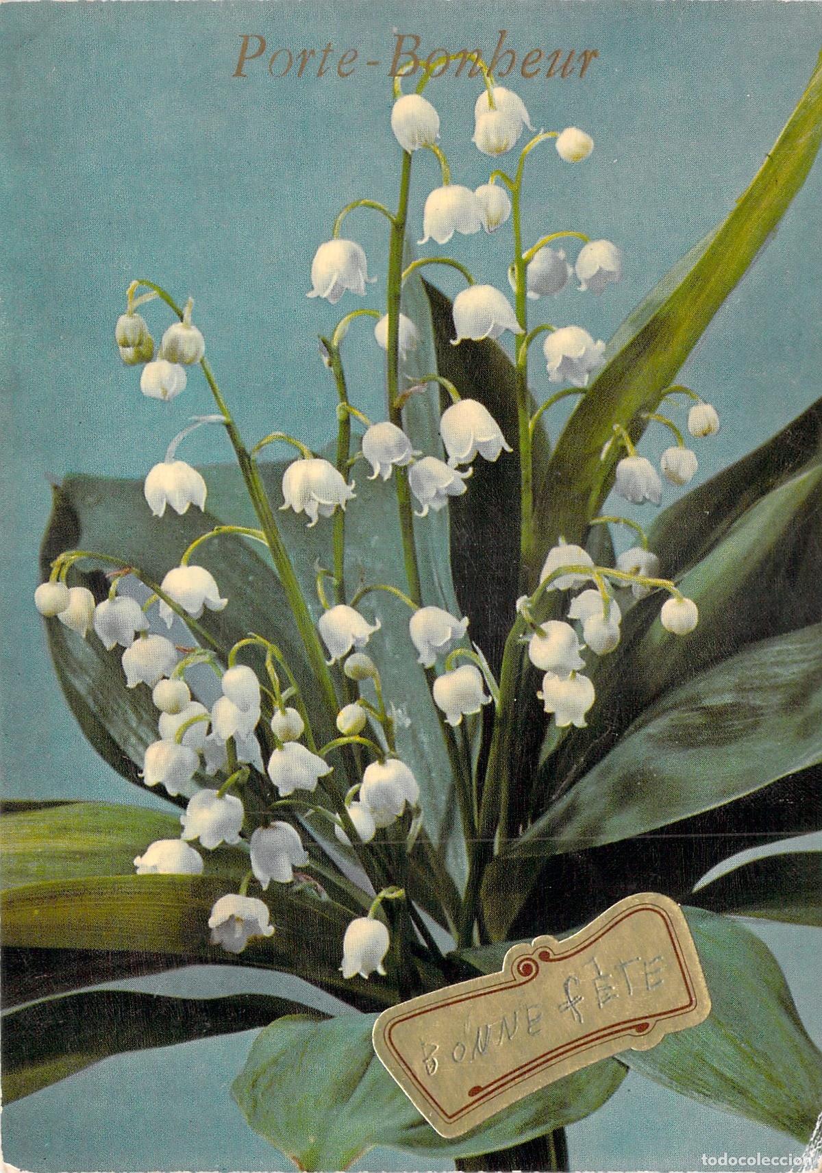Postales: Postal con ramo de lirios del valle y mensaje de felicitaci&oacute;n