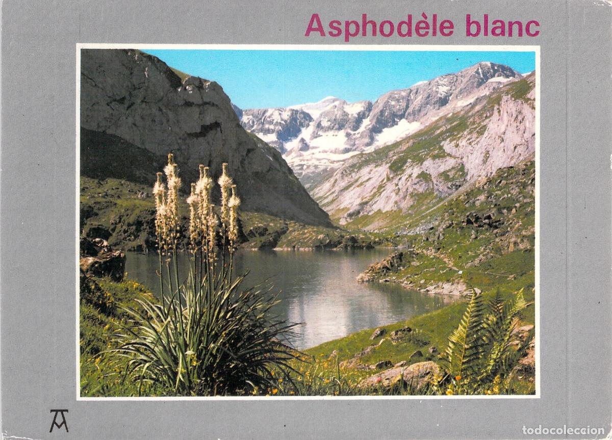 Cartes Postales: Postal de asf&oacute;delo blanco y paisaje de monta&ntilde;a en Francia