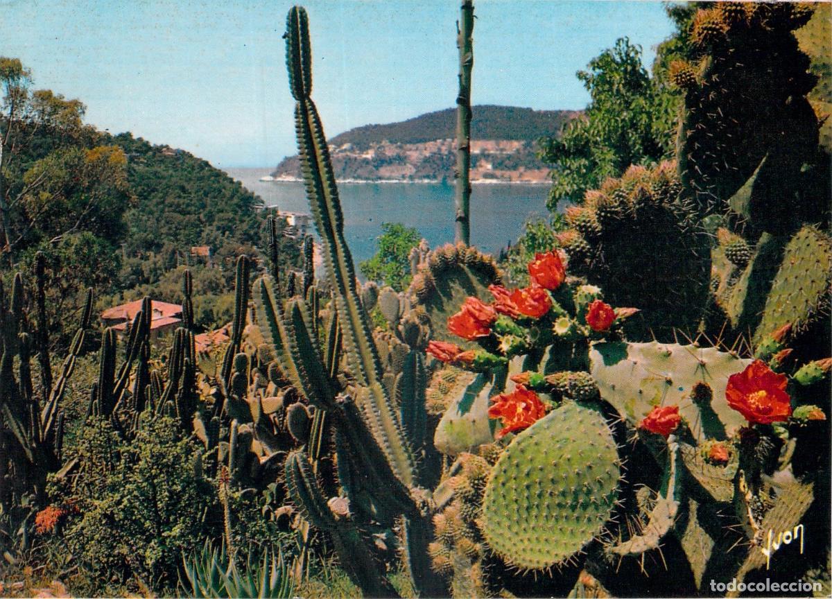 Postales: Postal de los jardines de la Costa Azul en Francia