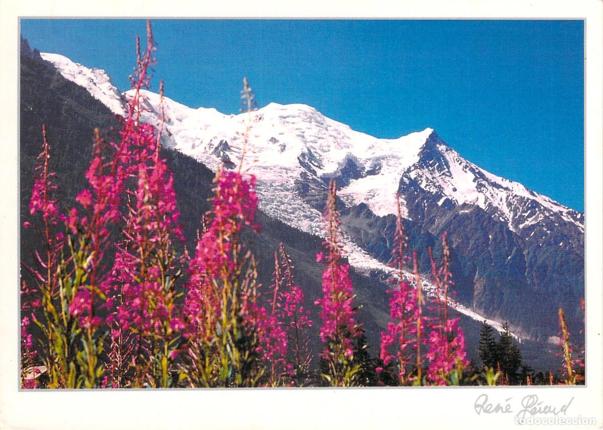 Postales: Postal de los Alpes Franceses con monta&ntilde;as nevadas