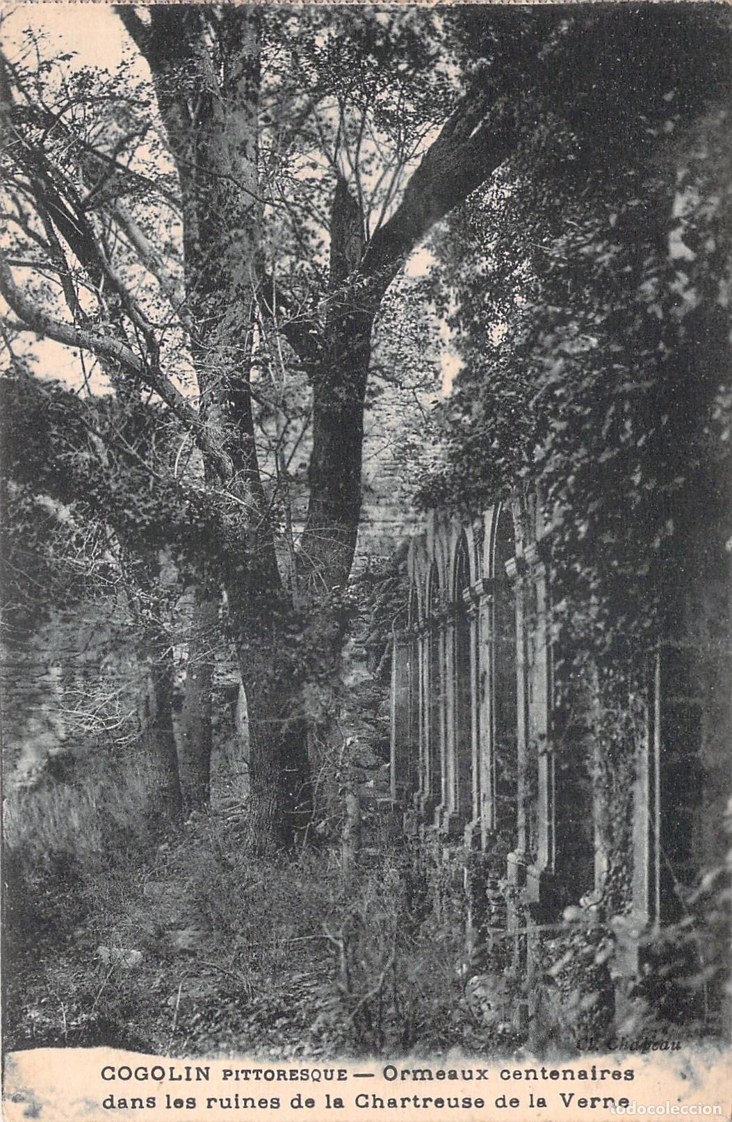 Postales: Postal de las ruinas de Chartreuse de la Verne en Cogolin