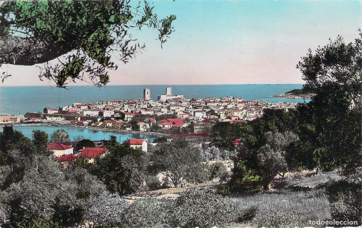 Postales: Postal de la vista general de Antibes desde los olivos