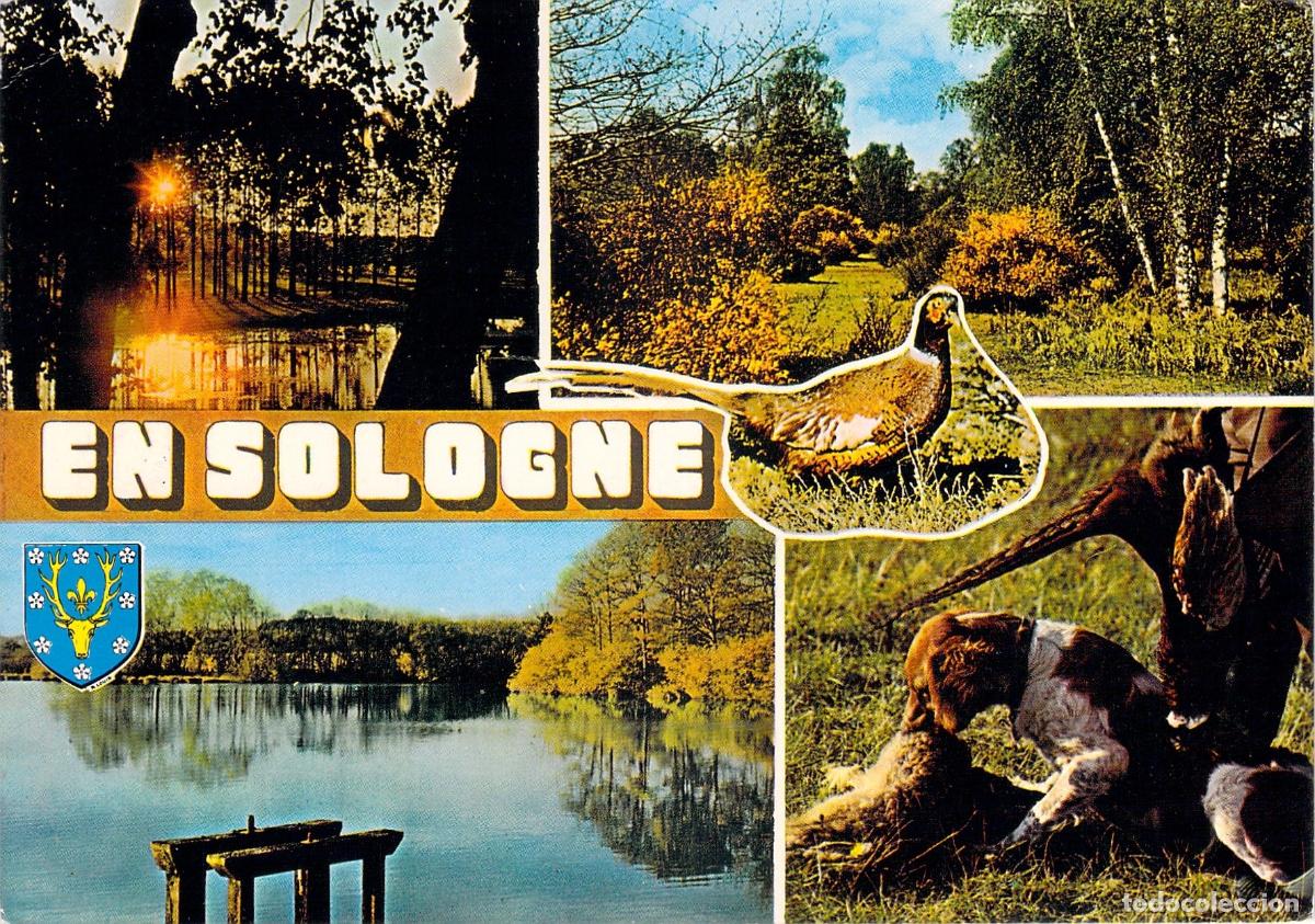 Postales: Postal de Sologne Francia Paisajes Naturales y Fauna