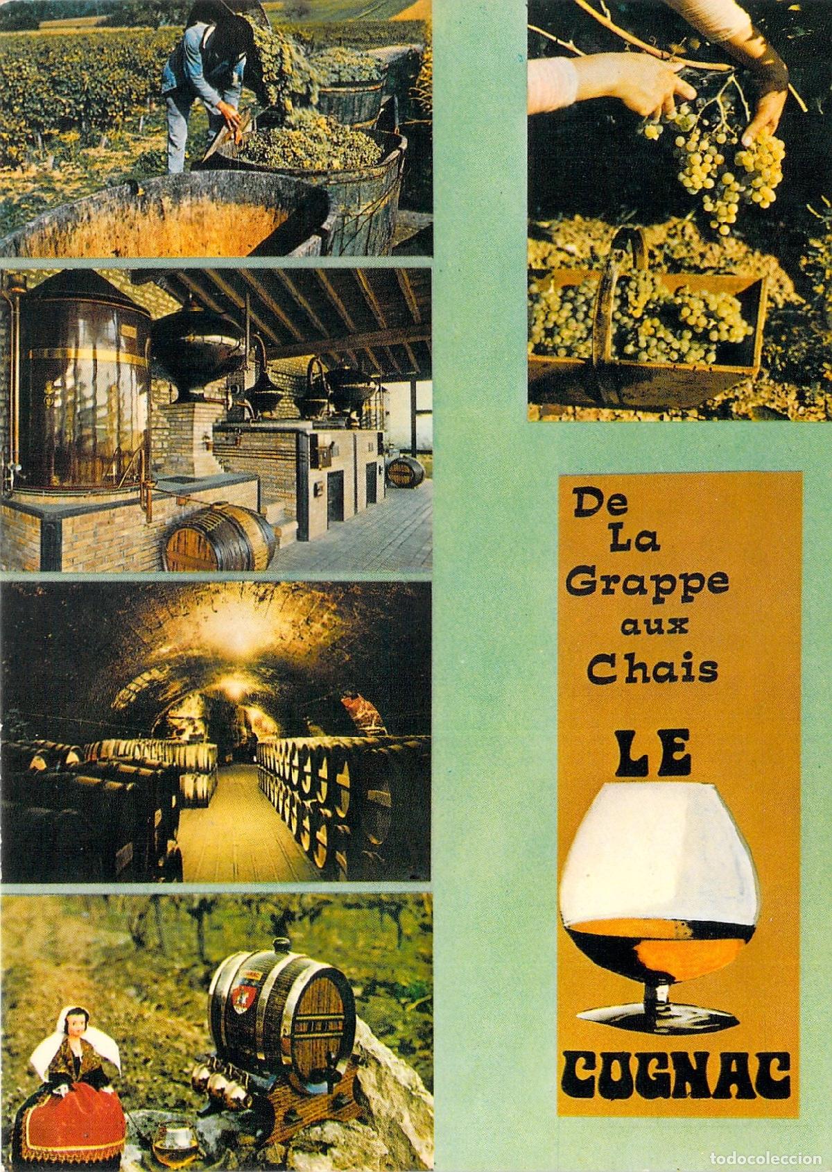Postales: Postal de la regi&oacute;n de Cognac, Francia: Proceso de producci&oacute;n y vi&ntilde;edos
