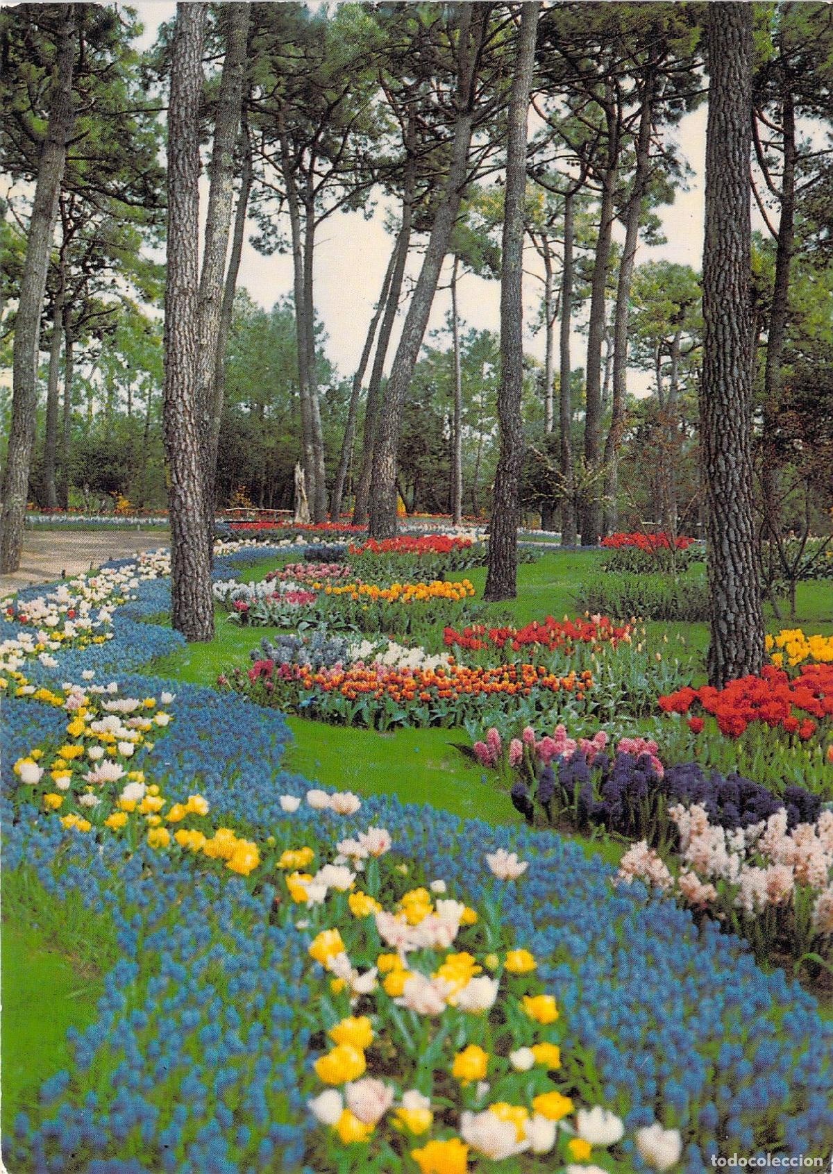 Postales: Postal de los Jardines Les Floralies en La Tranche-sur-Mer, Francia