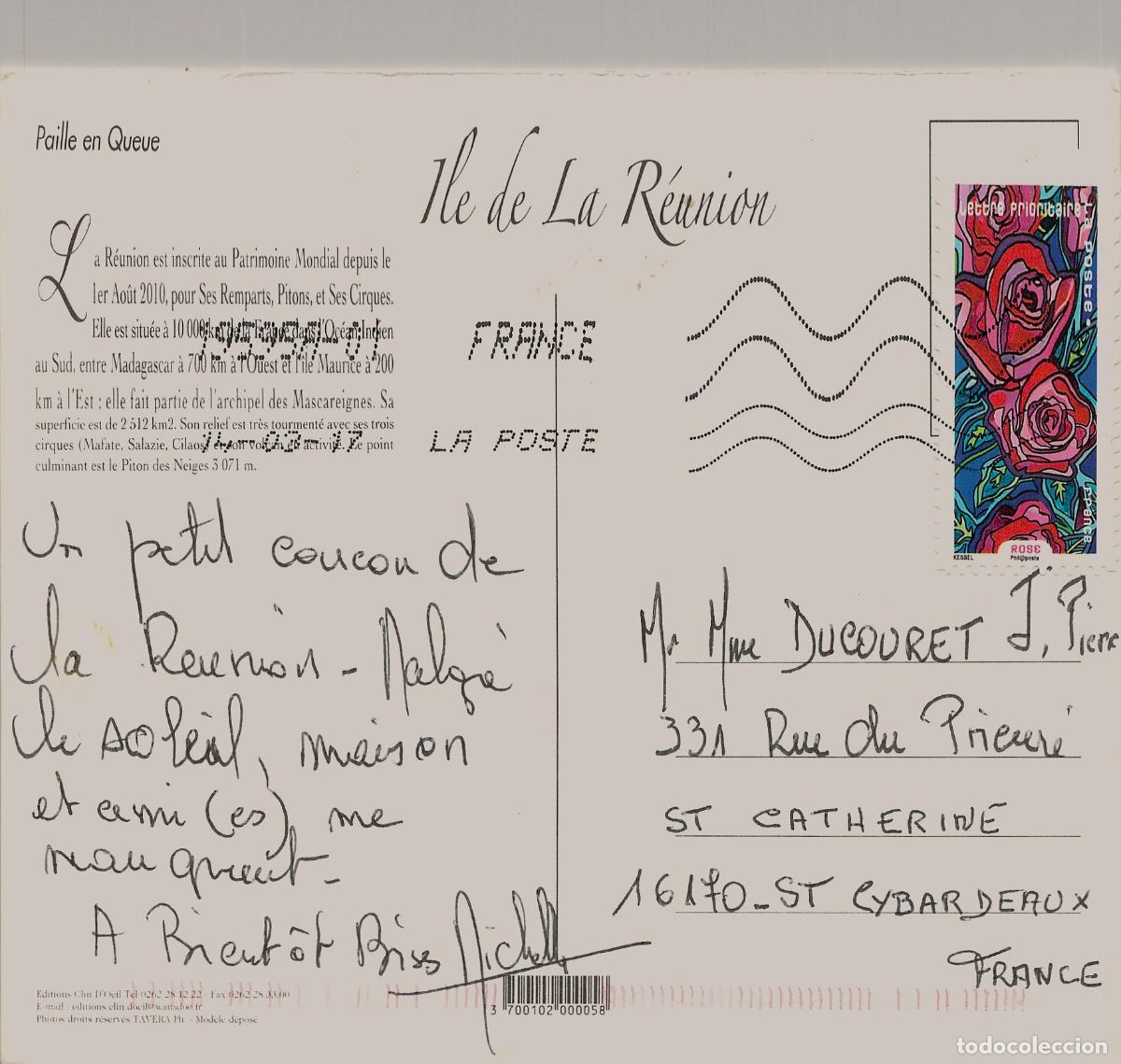 Postales: Postal de ave Paille en Queue en la isla de la Reuni&oacute;n - Foto 2
