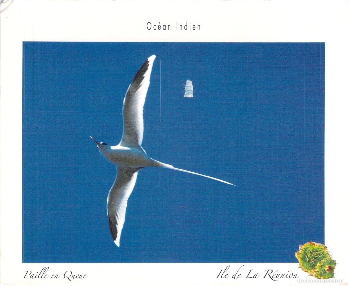 Postales: Postal de ave Paille en Queue en la isla de la Reuni&oacute;n