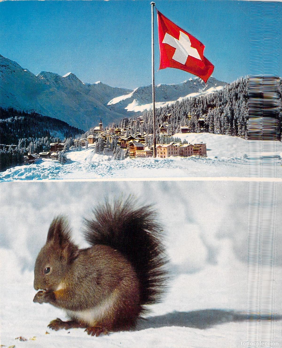 Postales: Postal de Arosa con ardilla y paisaje de monta&ntilde;a en invierno
