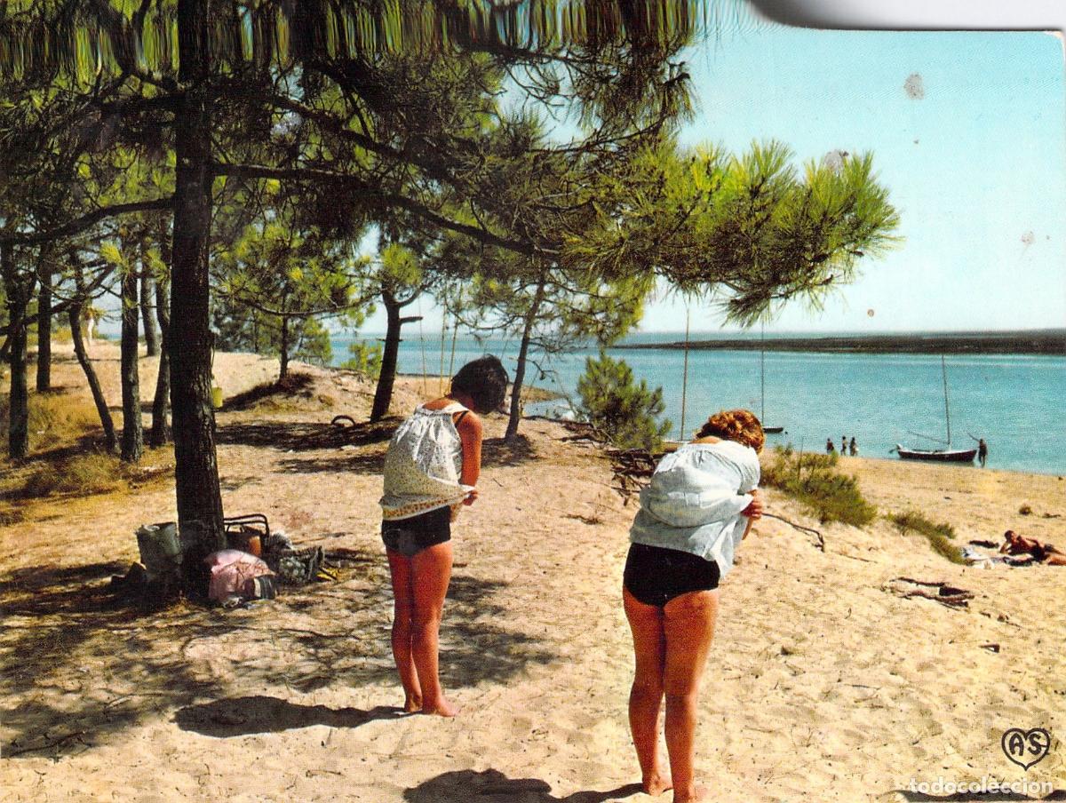 Postales: Postal de Le Bois de Trousse Chemise en la Isla de R&eacute;