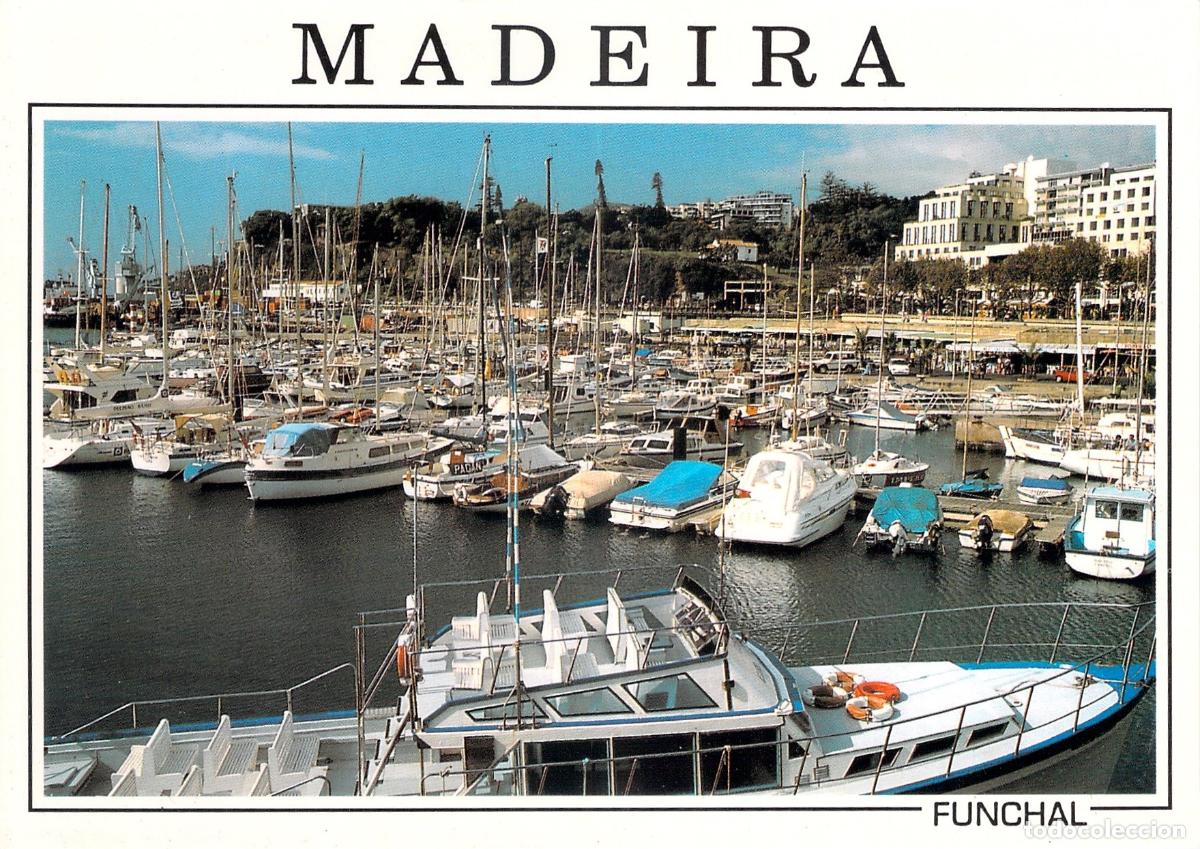 Postales: Postal de la Marina de Funchal en la isla de Madeira