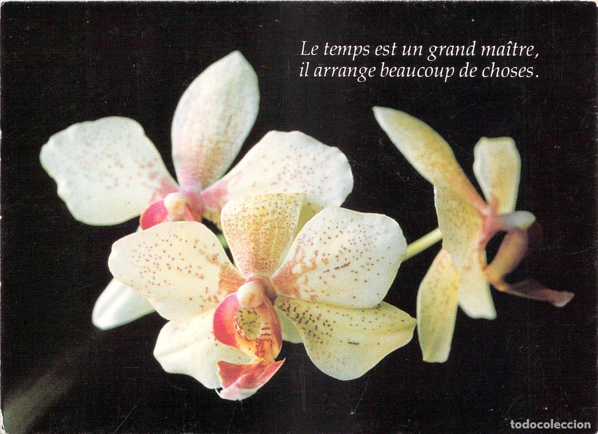 Postales: Postal de Orqu&iacute;deas con Frase Reflexiva en Franc&eacute;s