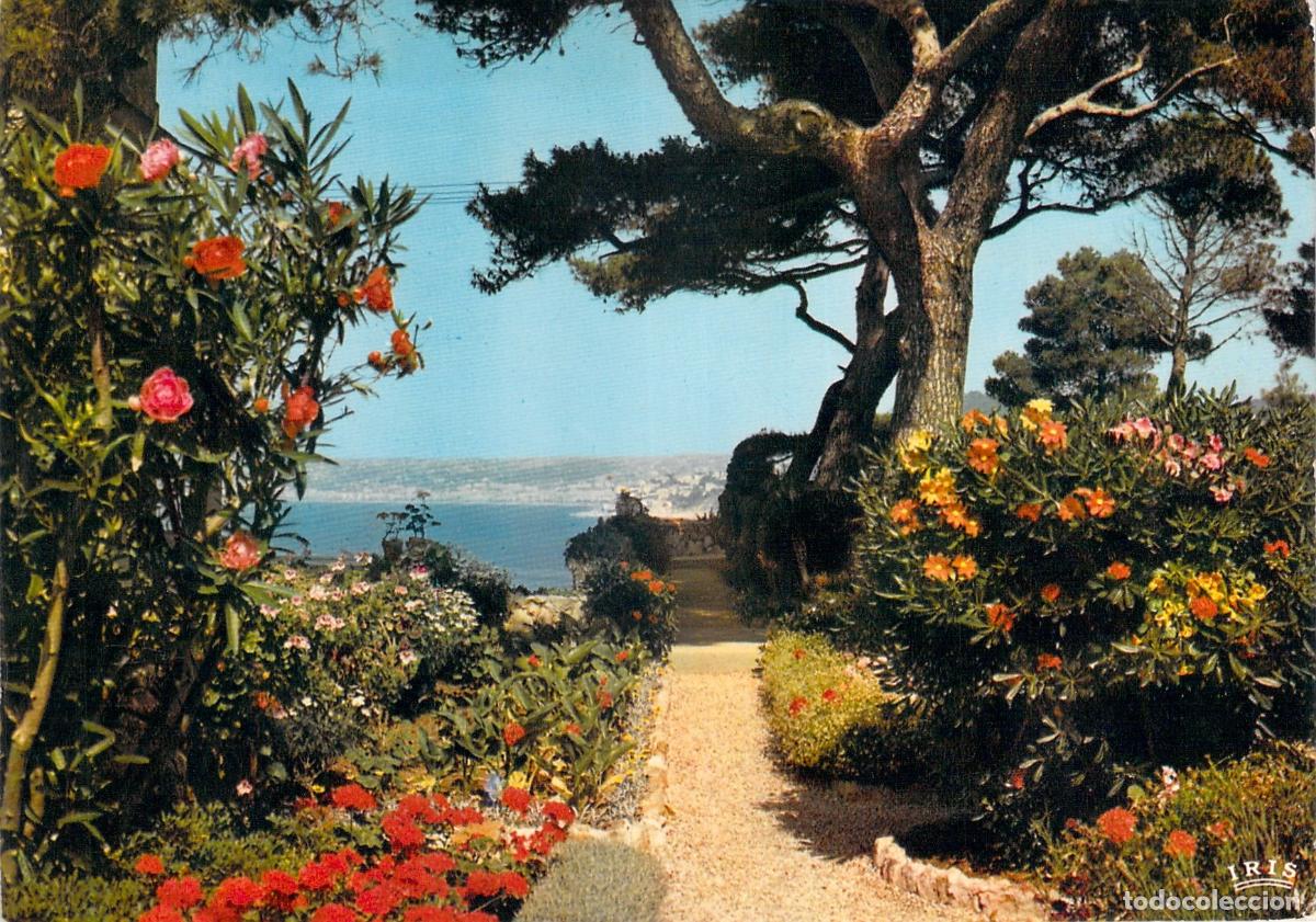 Postales: Postal de la Costa Azul Riviera Francesa Jard&iacute;n Florido