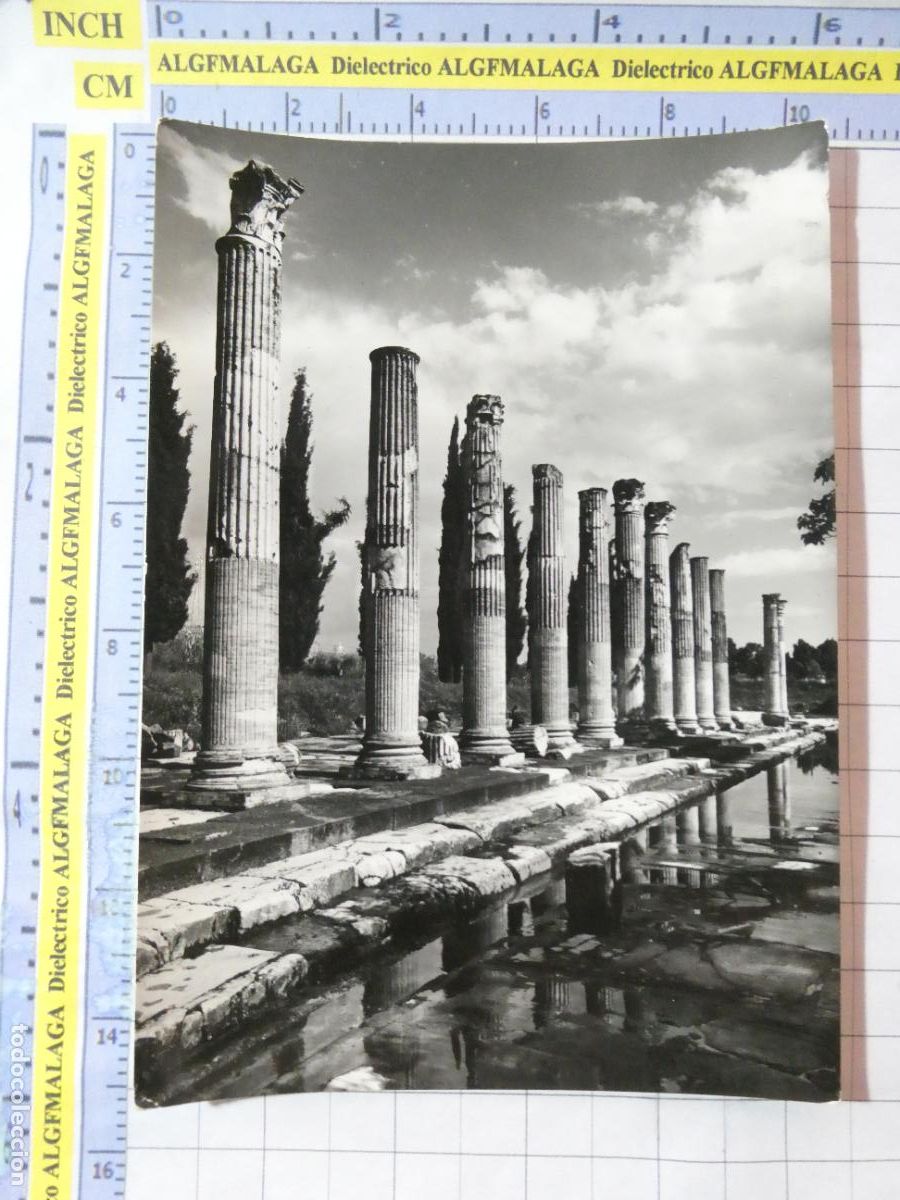 Postales: ANTIGUA POSTAL DE ITALIA. AQUILEIA LE COLONNE DEL PORTICO DI LEVANTE DEL FORO. 2896