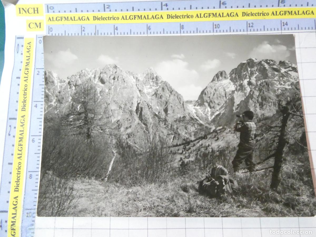 Postales: ANTIGUA POSTAL DE ITALIA. CARNIA GRUPPO DEL M. COGLIANS PASSO VOLAIA. 2909