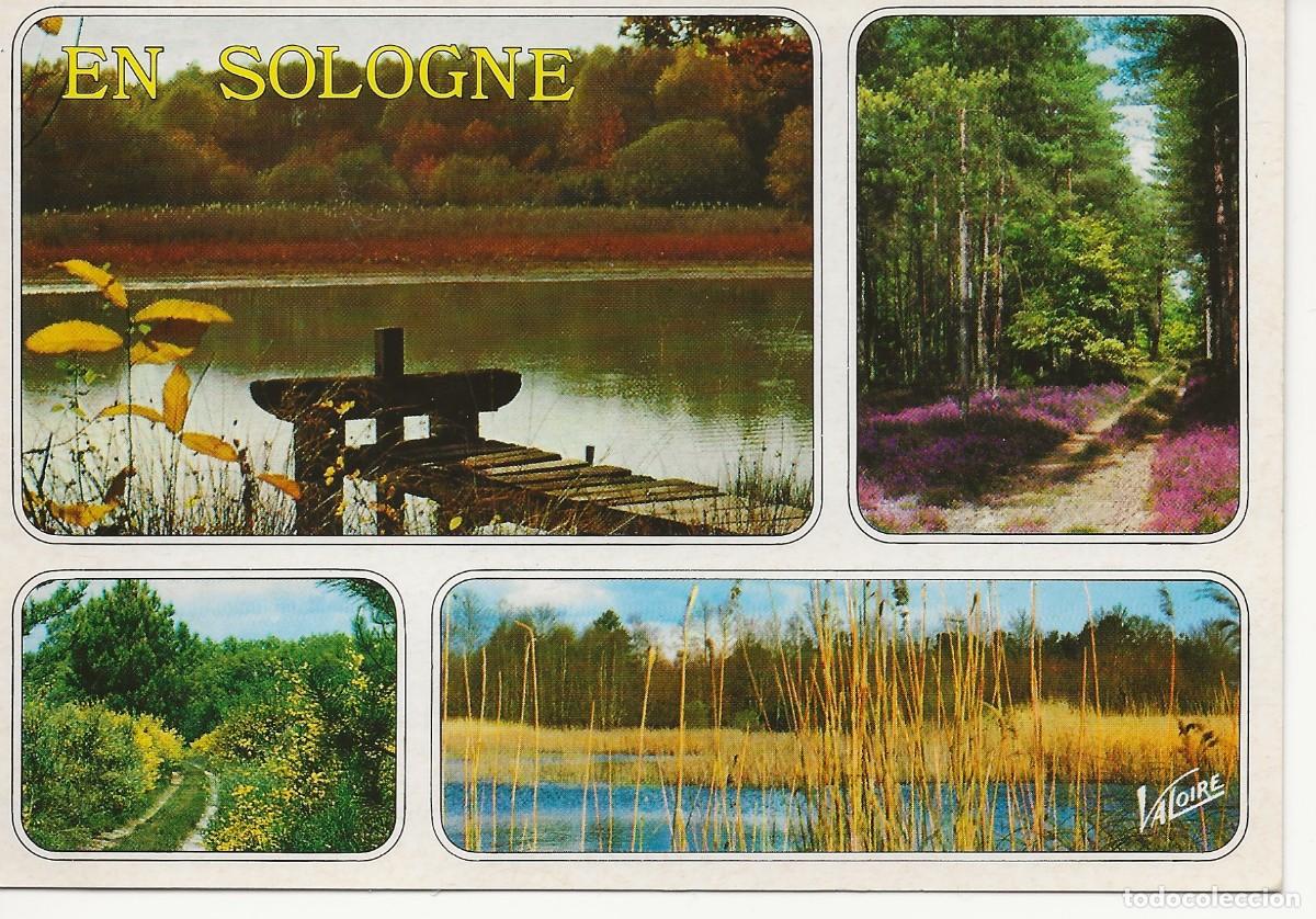 Postales: FRANCE - LA SOLOGNE - VUES MULTIPLES