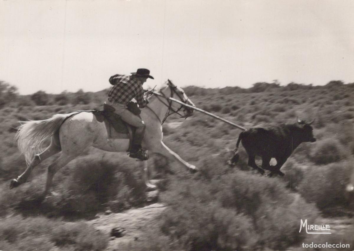 Postcards: France Camargue Provence Gardian &Agrave; Cheval Real Photo Unposted *YAH198