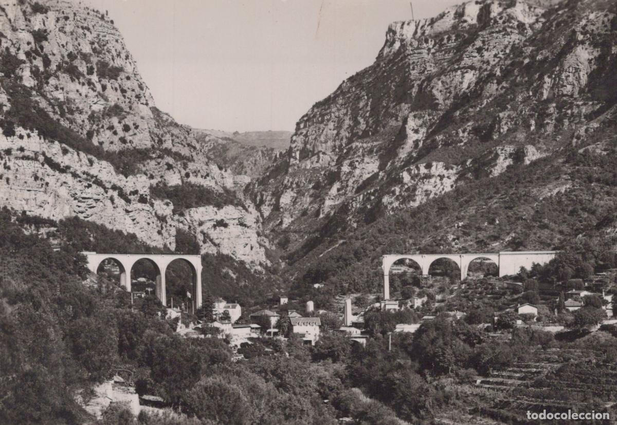 Postais: France Other Unclassified Nice le Pont du Loup Real Photo Unposted *YAH244