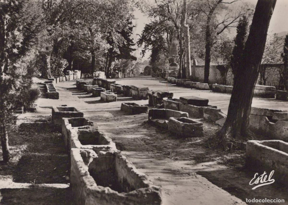 Postales: France Other Unclassified Arles les Alyscamps Real Photo Unposted *YAH222