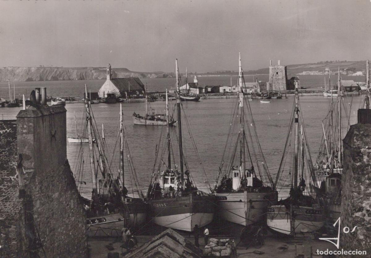 Postales: France Ch&acirc;teaulin Camaret Bateaux de P&ecirc;che Dans le Real Photo Unposted *YAH251