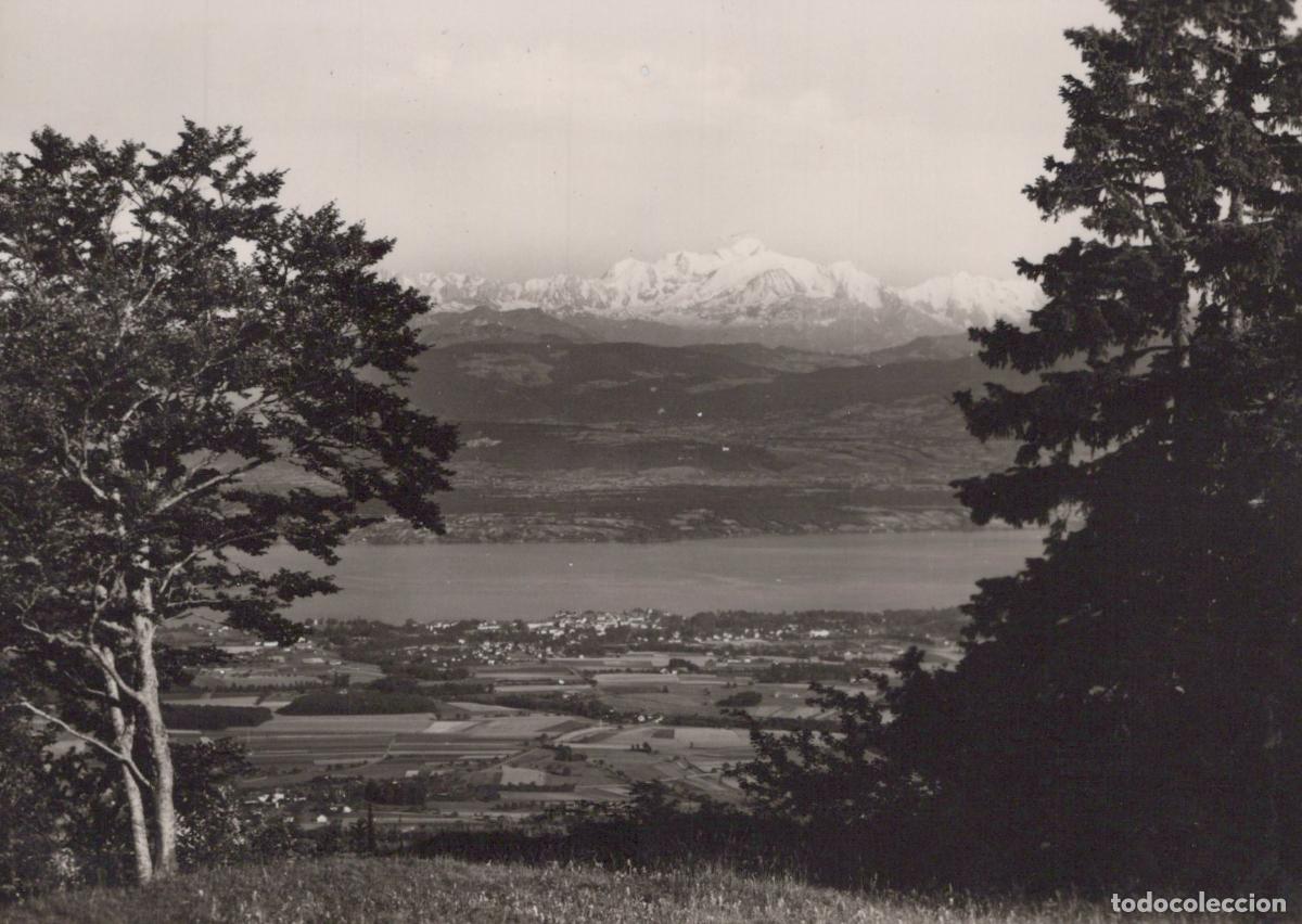 Cartes Postales: France Col de la Faucille Franche Comt&eacute; Vue Lac L&eacute;man Mont Real Photo *YAH286