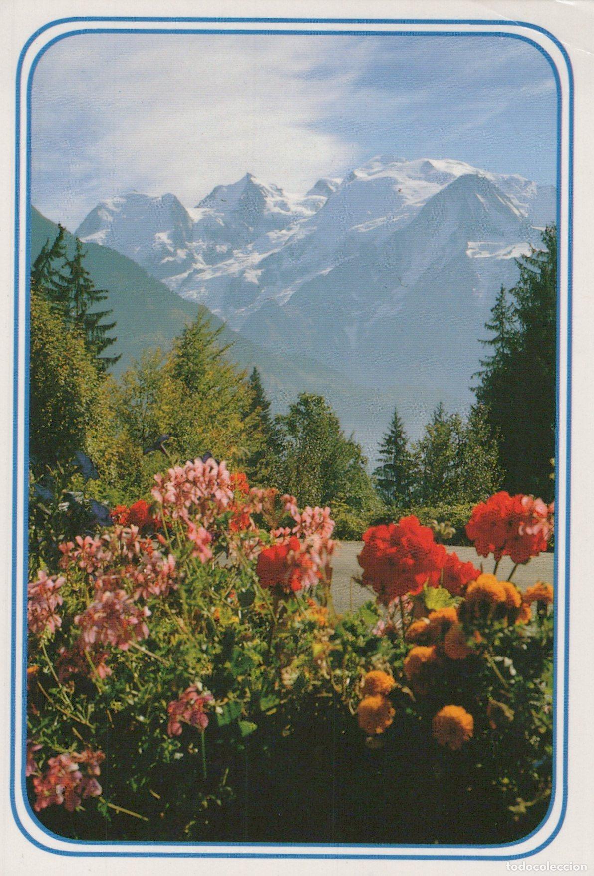 Cartes Postales: France Chamonix Mont Blanc Paysages et Fleurs *YAH390
