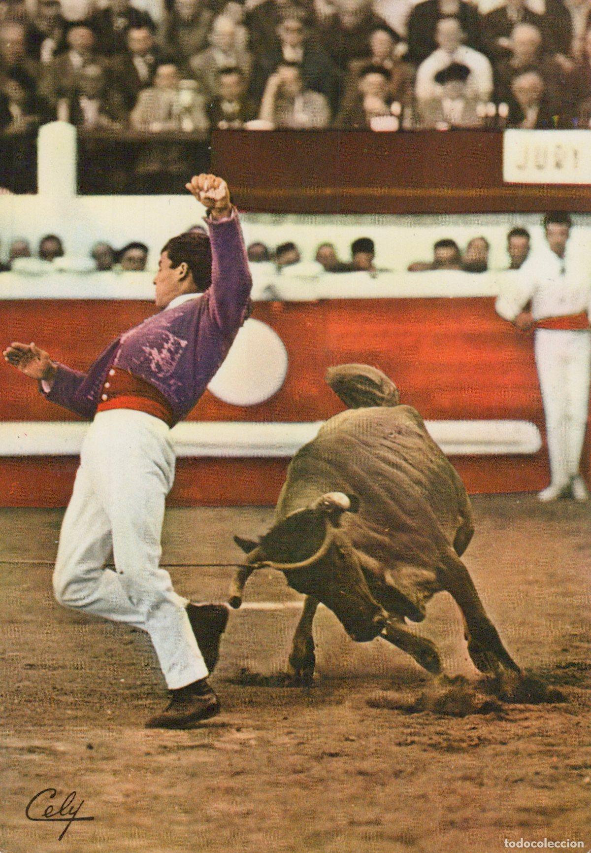 Postcards: France Dax Matador in Purple Suit Performing During A Bullfight *YAH408
