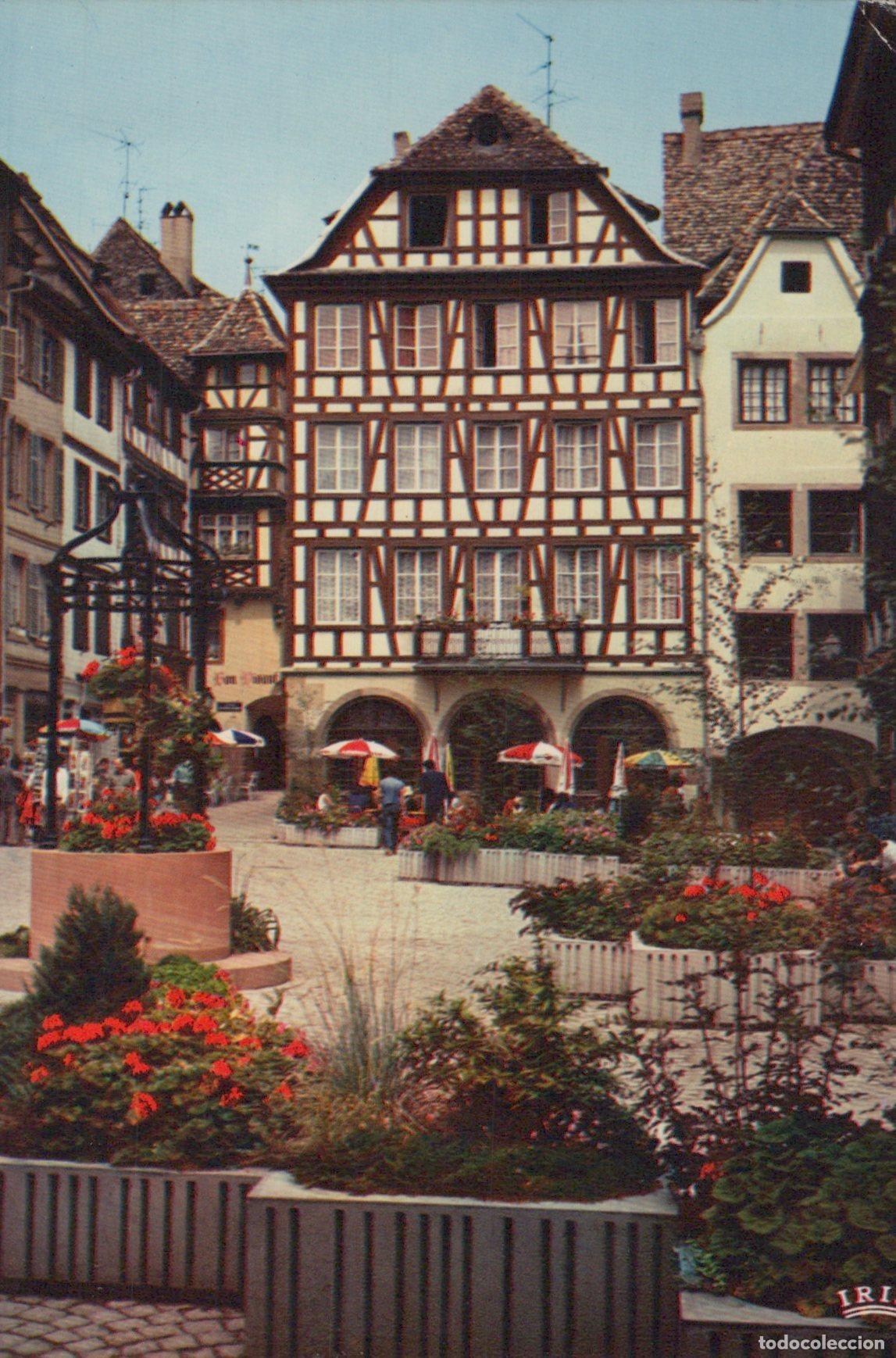 Cartoline: France Strasbourg Place du March&eacute; Aux Cochons de Lait *YAH460