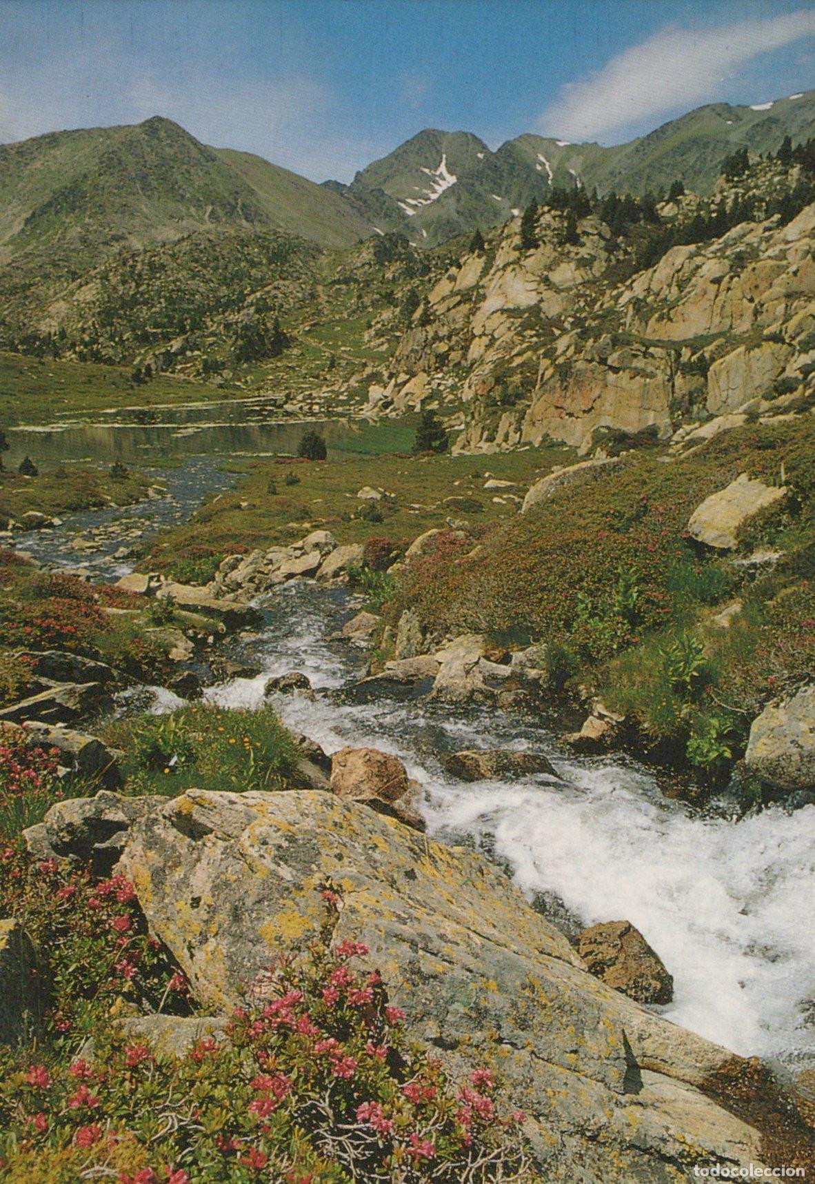 Cartes Postales: France Perpignan Massif du Carlit Torrent et Lac Rhododendrons *YAH488