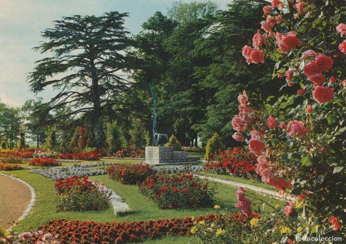 Postales: France Olivet Loiret Parc Floral de la Source Statue Roseraie *YAH578