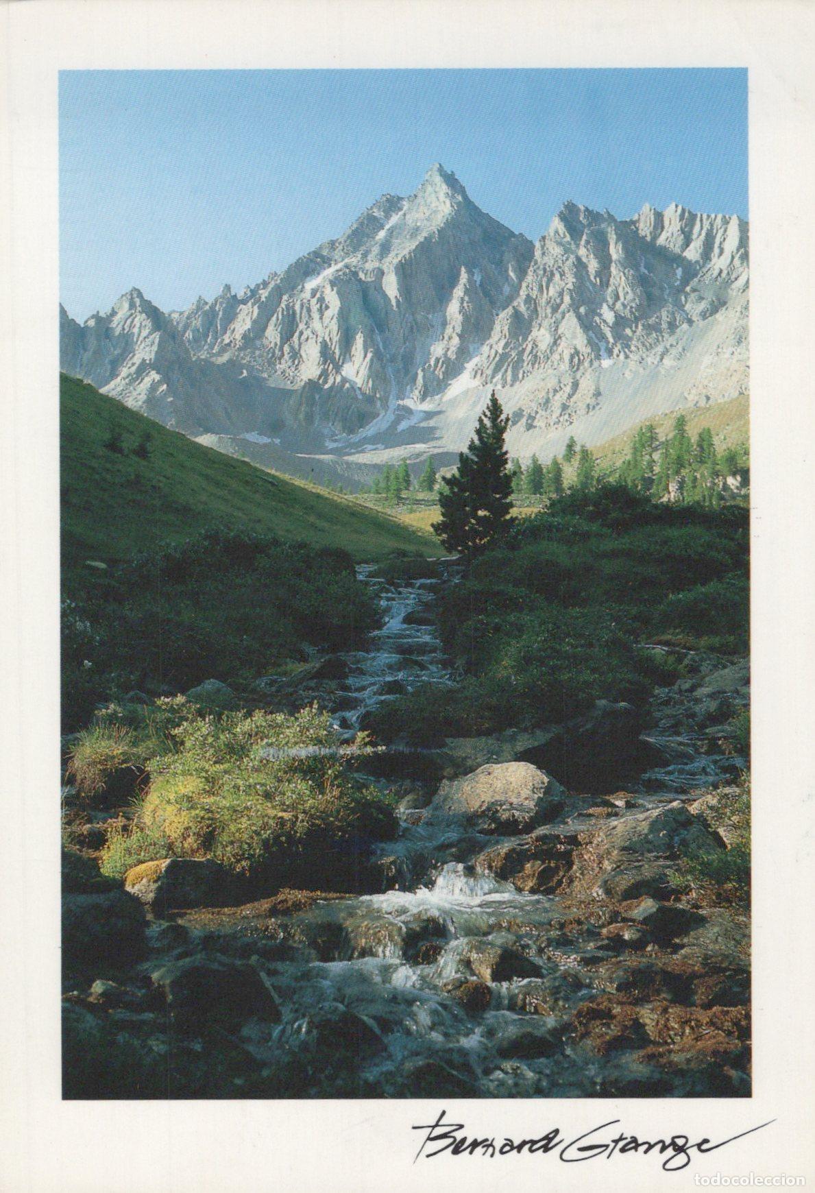 Cartes Postales: France Meg&egrave;ve Notre Dame de Bellecombe Alpes Paysage Montagne For&ecirc;t *YAH397