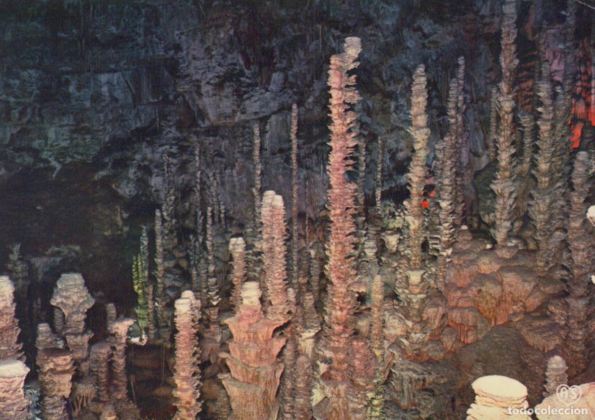 Postcards: France Rodez Stalagmites in the Virgin Forest Aven Armand Cave Gorges du *YAH658