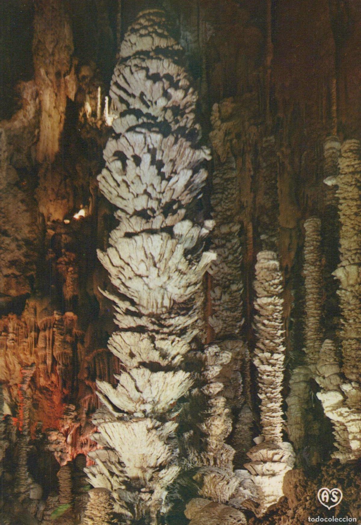 Postcards: France Gorges du Tarn Grotte de L Aven Armand le Palmier Unposted *YAH471