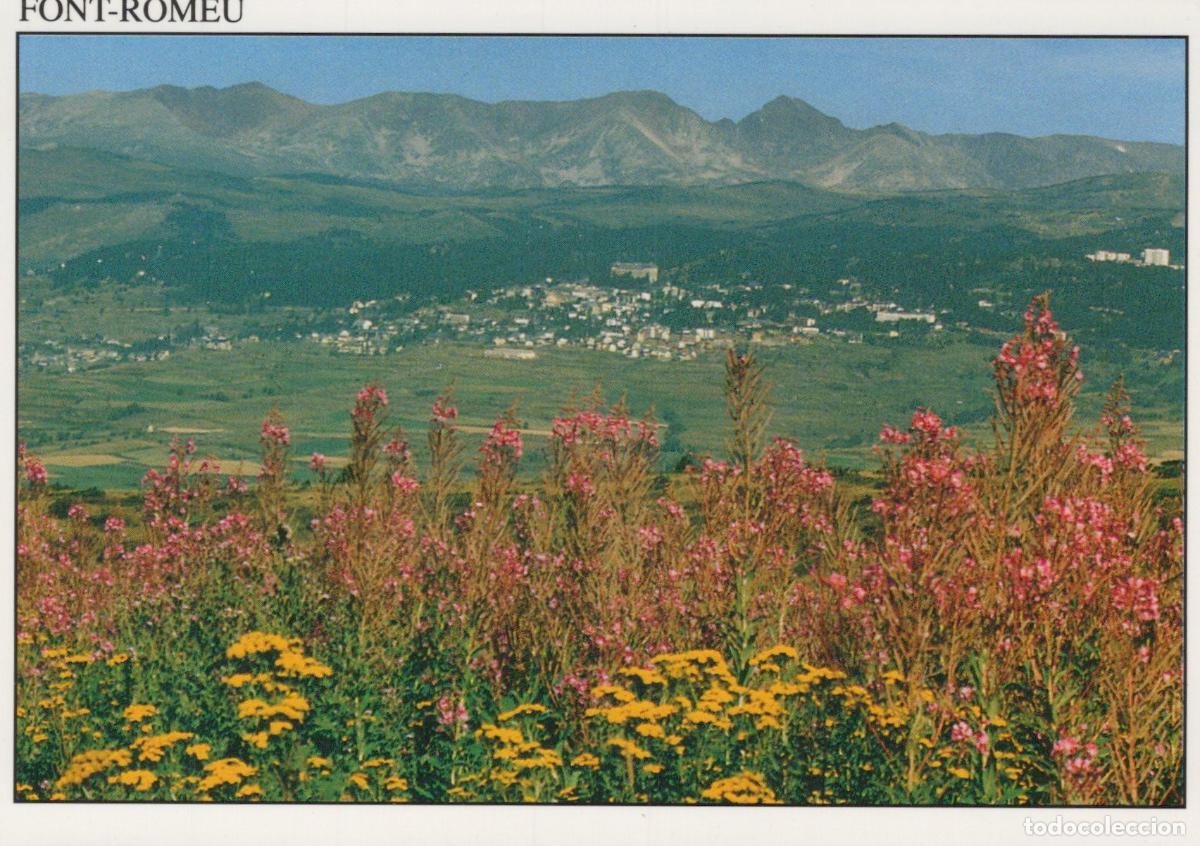 Cartes Postales: France Font Romeu Paysage de Montagne Fleurs Sauvages Ville *YAH720