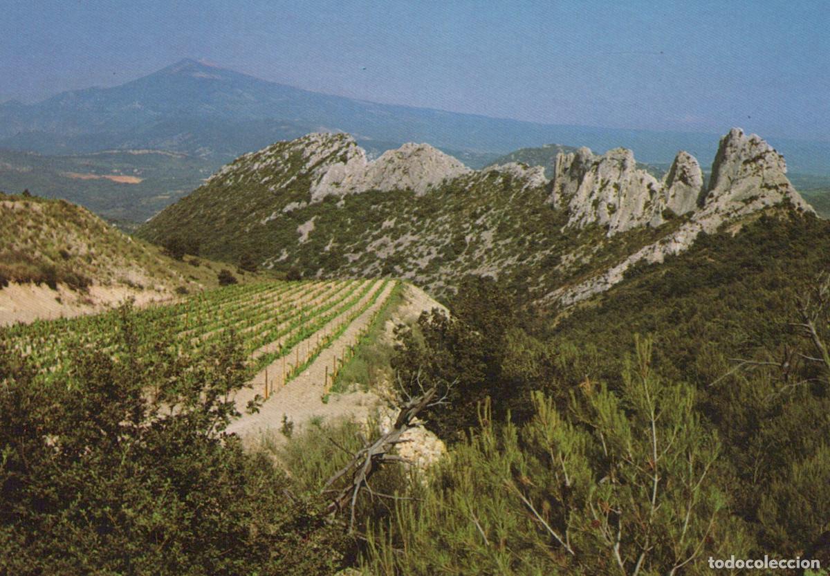 Postais: France Carpentras Paysage Dentelles de Montmirail Mont Ventoux Unposted *YAH764