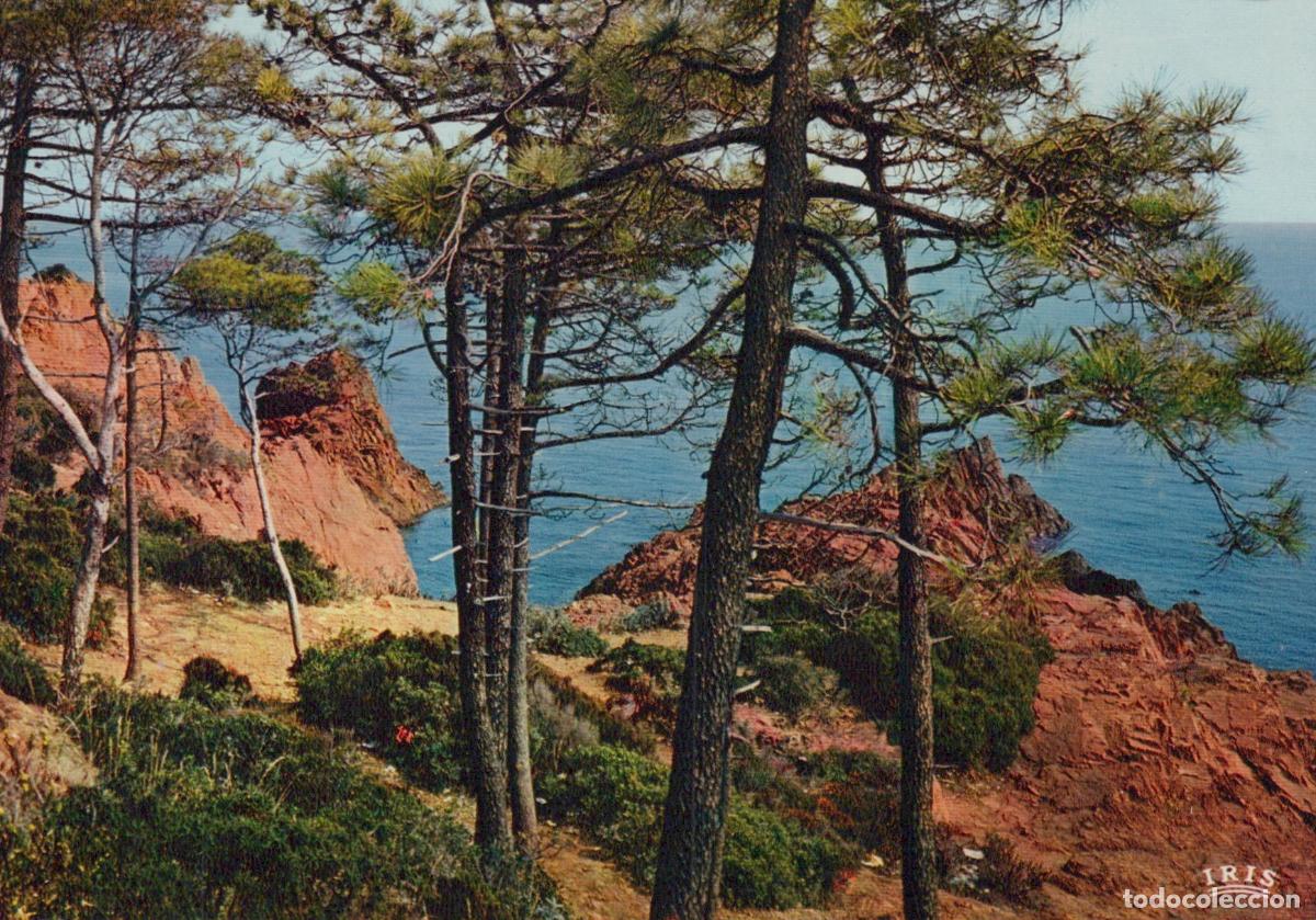 Postkarten: France Other Unclassified C&ocirc;te D Azur Paysage C&ocirc;tier Roches Unposted *YAH794