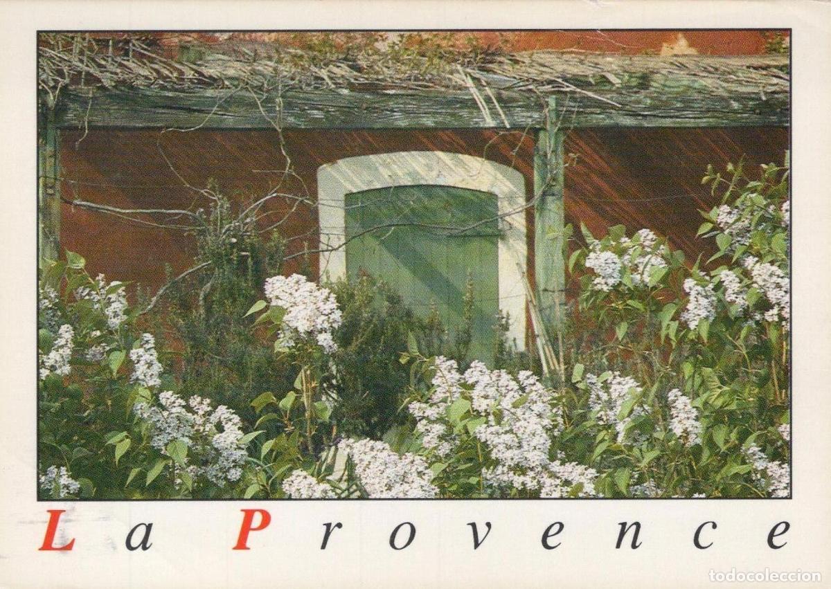 Postkarten: France Bormes les Mimosas Fen&ecirc;tre Aux Volets Verts et Fleurs Blanches *YAH814