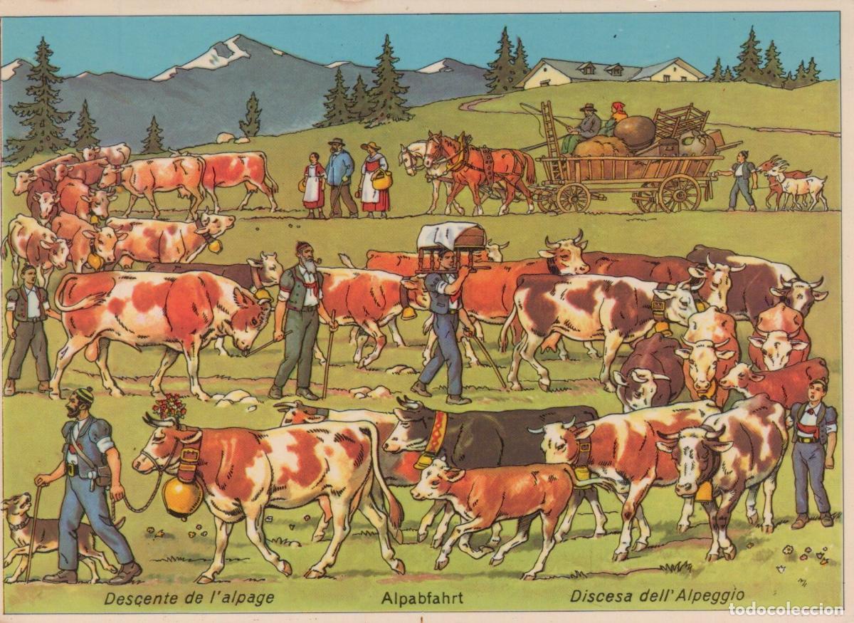 Cartoline: Switzerland Other Unclassified Alpes Descente de L Alpage Sc&egrave;ne *YAH938