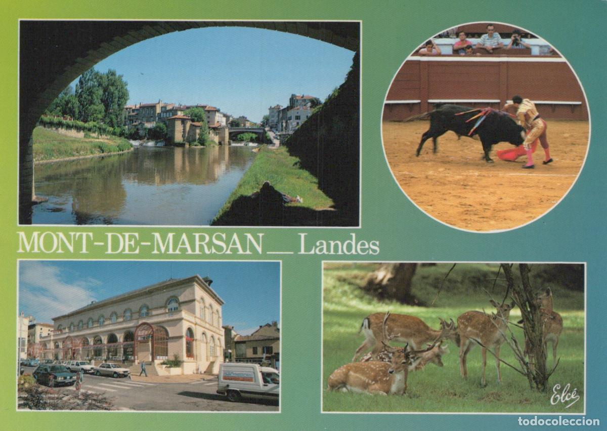 Cartoline: France Mont de Marsan Rivi&egrave;re Corrida March&eacute; Cerfs *YAH974
