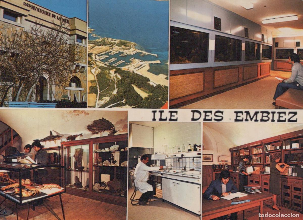 Cartoline: France Dijon Ile des Embiez Observatoire de la Mer Aquariums Mus&eacute;e *YAH787